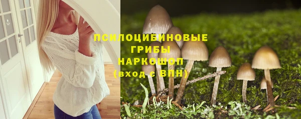 apvp Протвино
