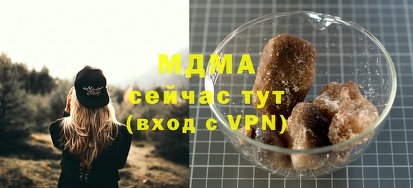 индика Заволжье