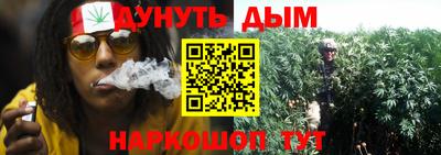 гашик Волжский