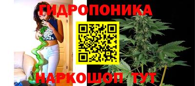 кокс Волжск