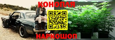 спиды Волгодонск