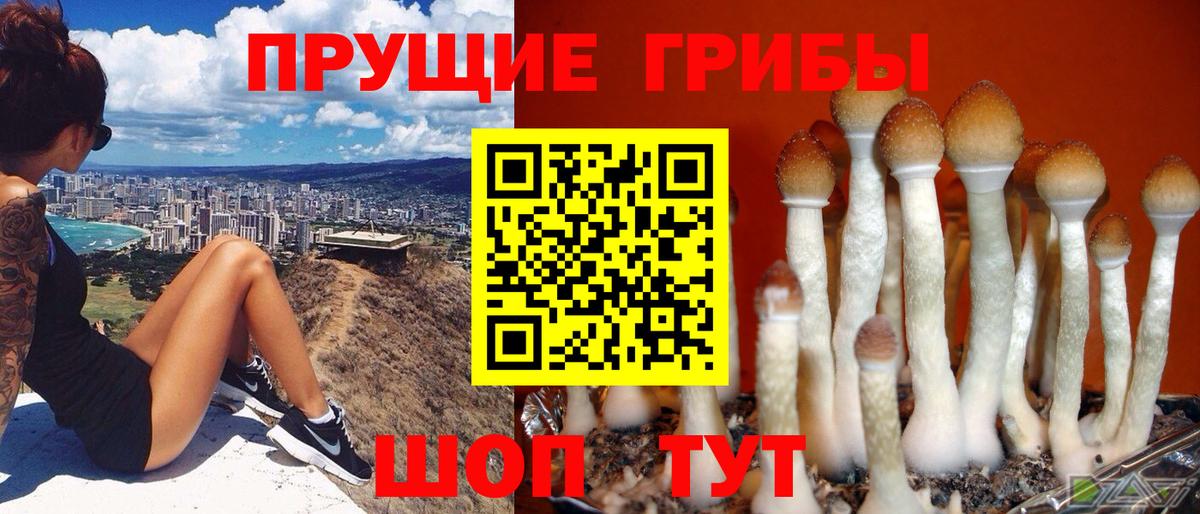 купить  сайты  Галлюциногенные грибы MAGIC MUSHROOMS  Вход с VPN  Кропоткин 