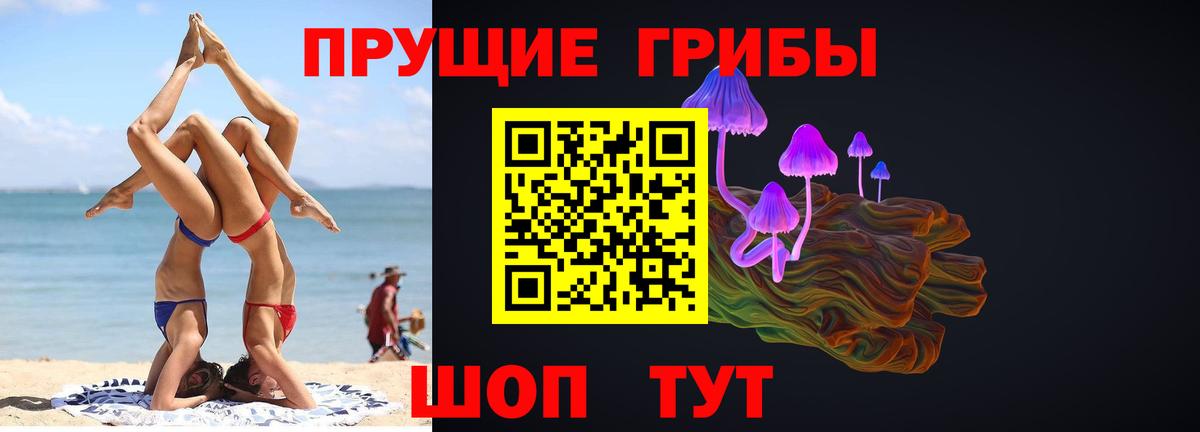 Галлюциногенные грибы Psilocybe Кропоткин
